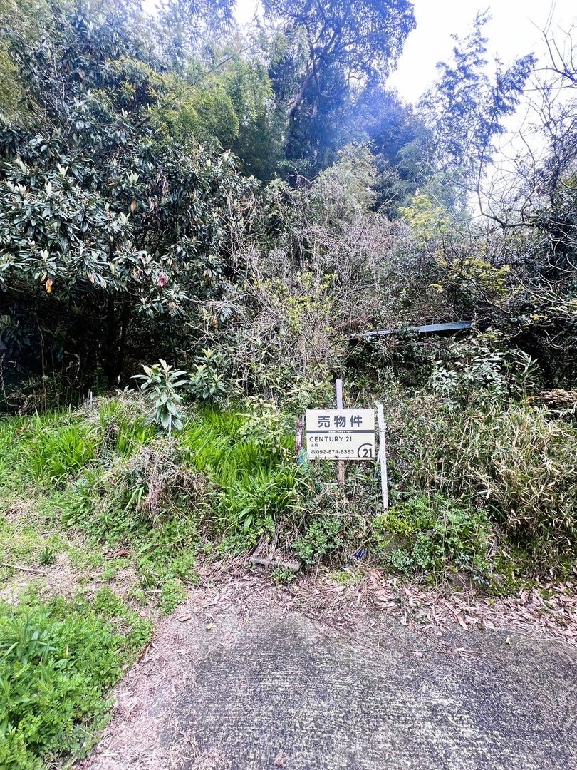 Flat Non-Buildable Land for Garden & Storage in Itoshima - Thumbnail 4