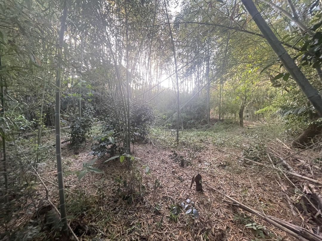 167 sqm Land Plot for Sale in Kotake Town, Fukuoka - Thumbnail 4