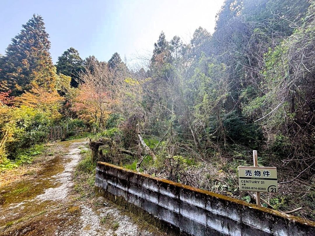 Vacant Land for Sale in Sawara Ward, Fukuoka - Ideal for Camping or Garden - Thumbnail 3