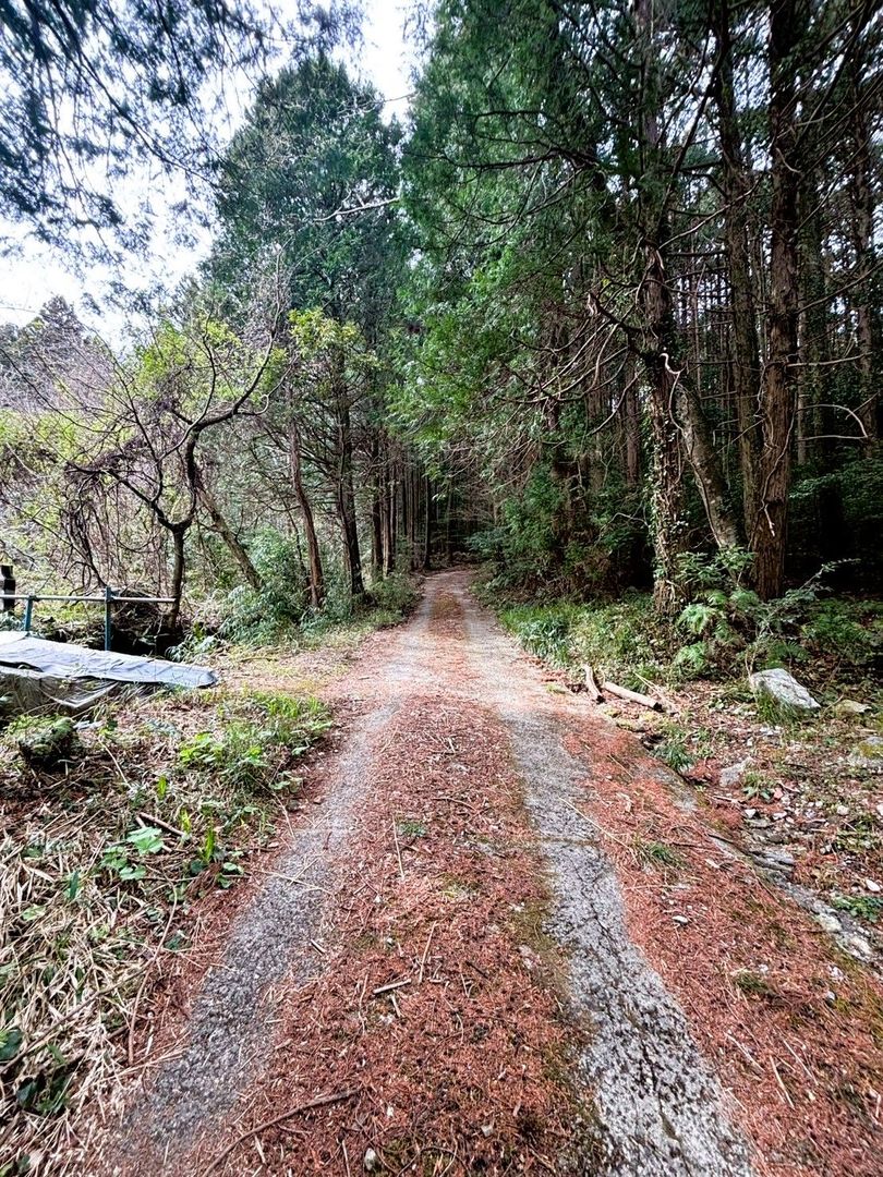 Vacant Land for Sale in Sawara Ward, Fukuoka - Ideal for Camping or Garden - Thumbnail 2