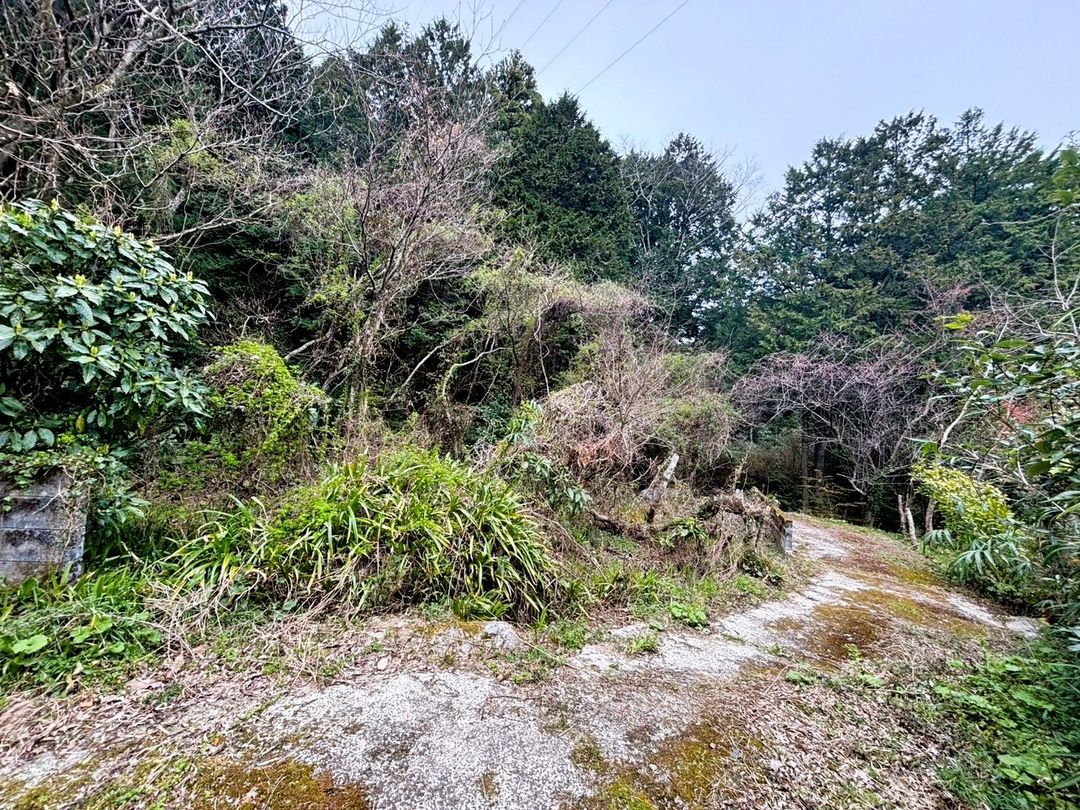 Vacant Land for Sale in Sawara Ward, Fukuoka - Ideal for Camping or Garden - Thumbnail 4