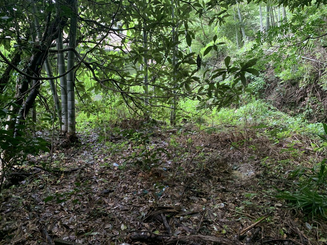 Vacant Land for Sale in Yahatahigashi, Kitakyushu - 151.59 sqm - Thumbnail 2