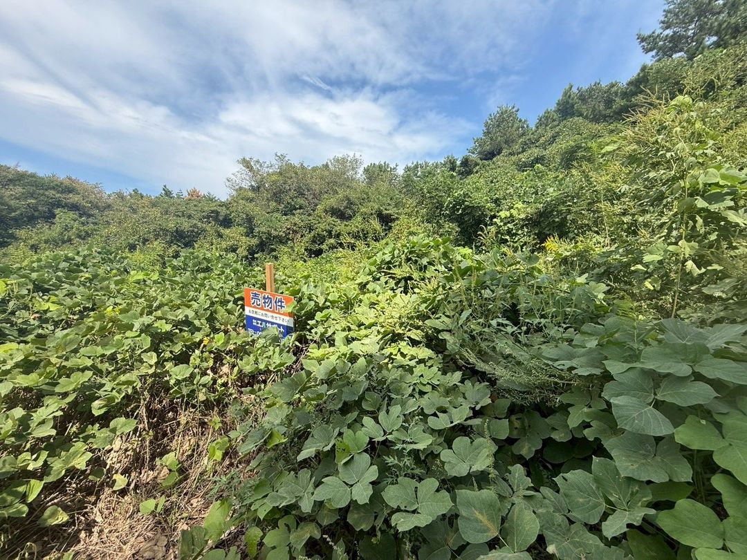 Land for Sale in Munakata, Fukuoka - 99 sqm Vacant Plot - Thumbnail 4