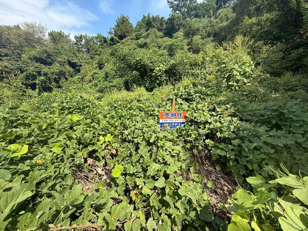 Land for Sale in Munakata, Fukuoka - 99 sqm Vacant Plot - Thumbnail 3