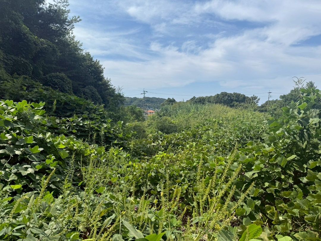 Land for Sale in Munakata, Fukuoka - 99 sqm Vacant Plot - Thumbnail 2