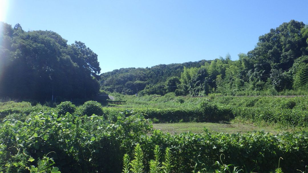 Vacant Land for Sale in Ikisu, Iizuka City, Fukuoka - Thumbnail 3