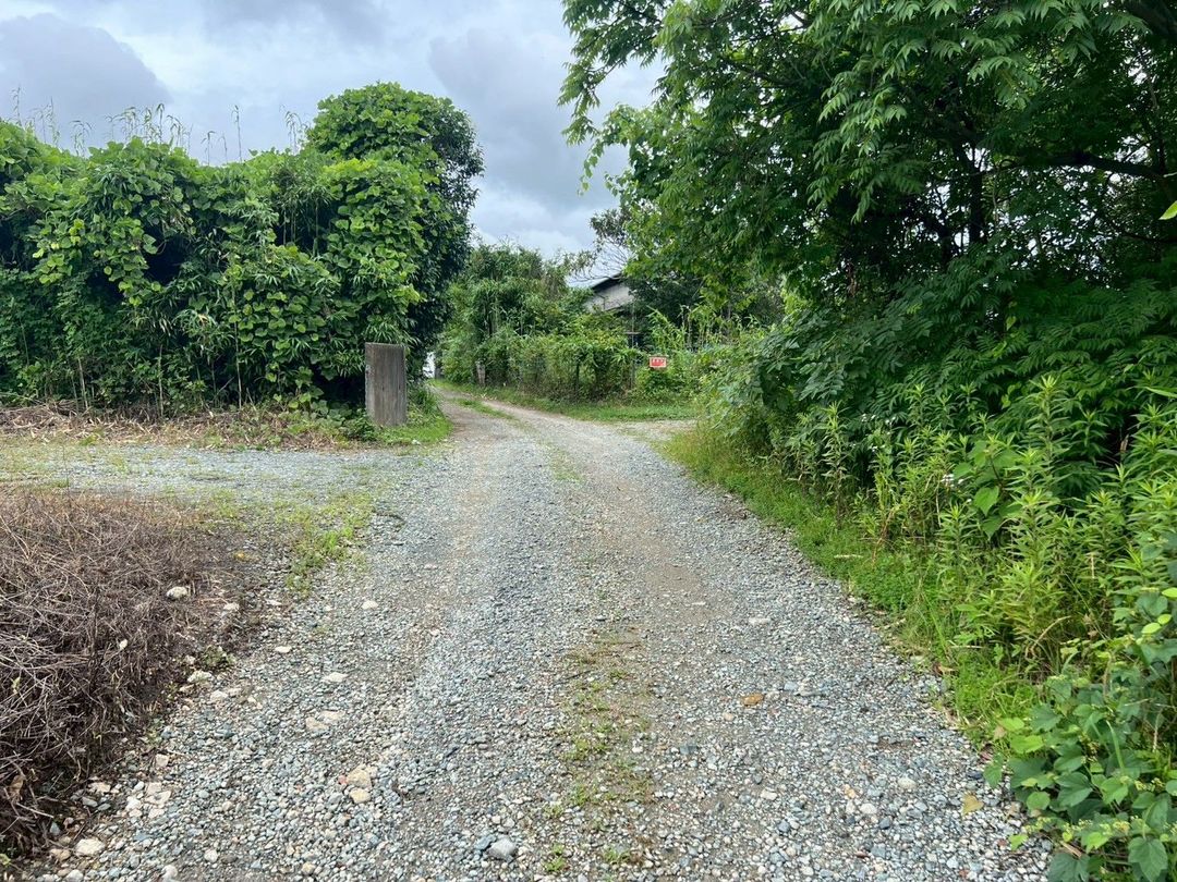 43 Tsubo Land for Sale in Kurume City, Fukuoka - Ideal for Garden - Thumbnail 3