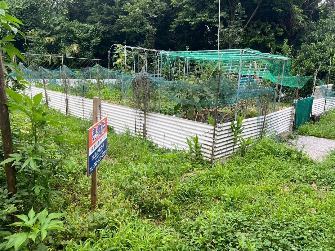 43 Tsubo Land for Sale in Kurume City, Fukuoka - Ideal for Garden - Thumbnail 2