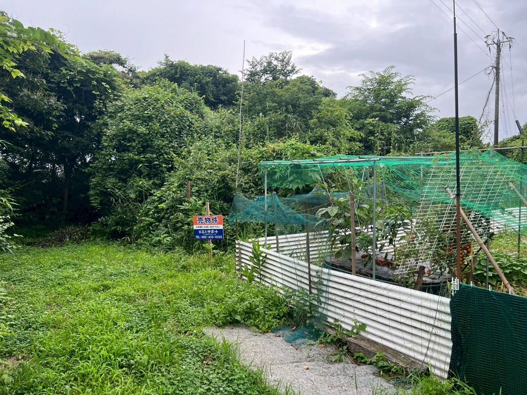 43 Tsubo Land for Sale in Kurume City, Fukuoka - Ideal for Garden - Thumbnail 4
