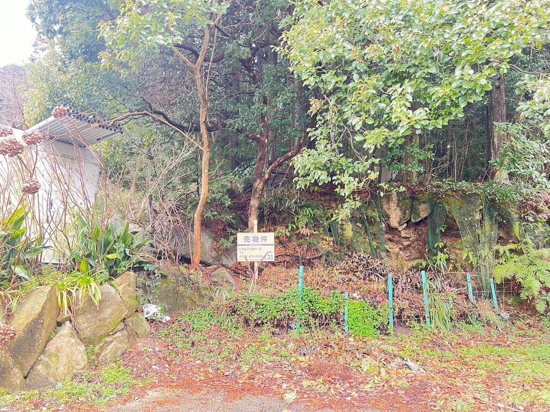 170-Tsubo Land for Sale in Fukuoka's Sawara Ward - Ideal for Camping or Beekeeping - Thumbnail 2