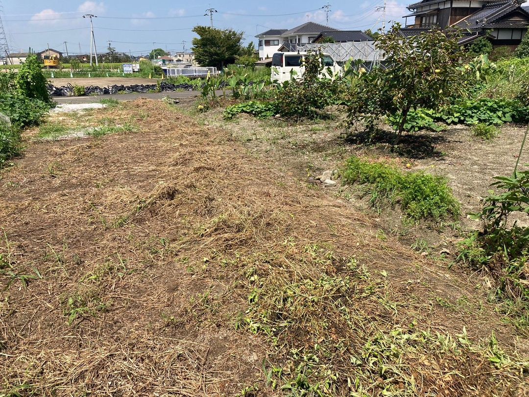 Flat 25sqm Land Plot for Vegetable Garden in Kurume, Fukuoka - Thumbnail 3