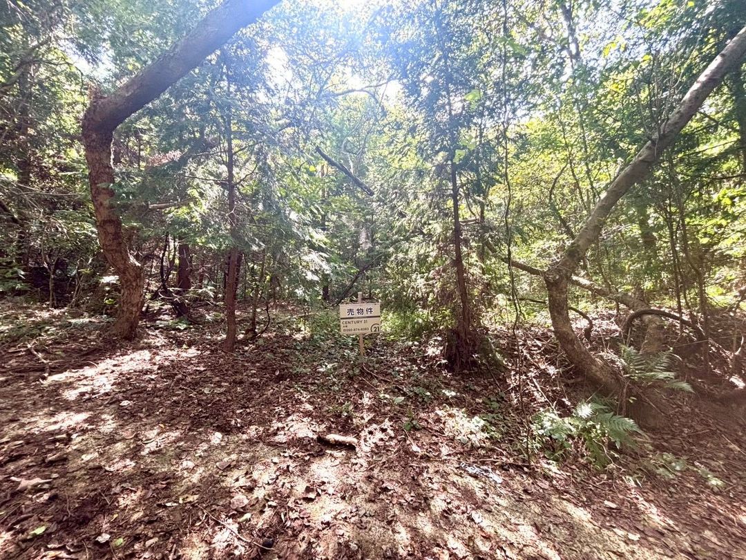 Vacant Land for Sale in Fukuoka Nishi Ward, Ideal for Camping or Storage - Thumbnail 4