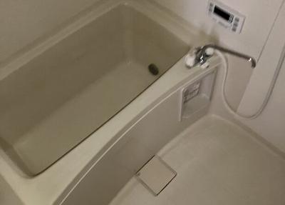 3LDK Rental Apartment in Fujinomiya City, Shizuoka — Bathroom, Fujinomiya, Shizuoka