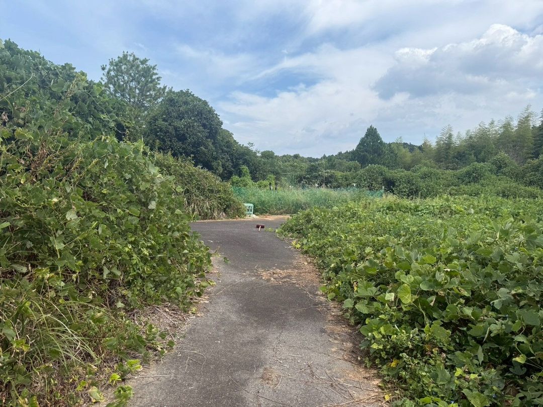 Land for Sale in Munakata City, Fukuoka - Ideal for Storage Yard - Thumbnail 4