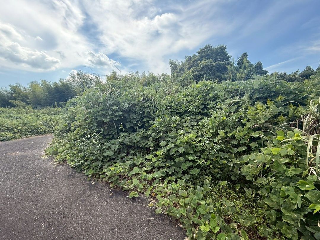 Land for Sale in Munakata City, Fukuoka - Ideal for Storage Yard - Thumbnail 2