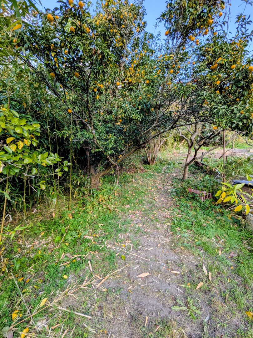 3DK House with Field in Kama City, Fukuoka | 1.8 Million Yen - Thumbnail 4