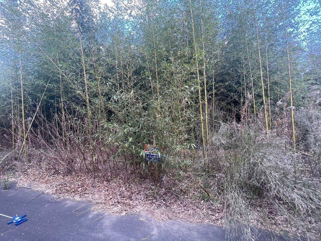 Vacant Land for Sale near Higashi-go Station, Munakata City - Thumbnail 4