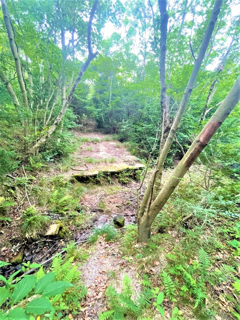 Land for Sale in Imajuku-Kaminohara, Fukuoka - Ideal for Camping or Cultivation - Thumbnail 3