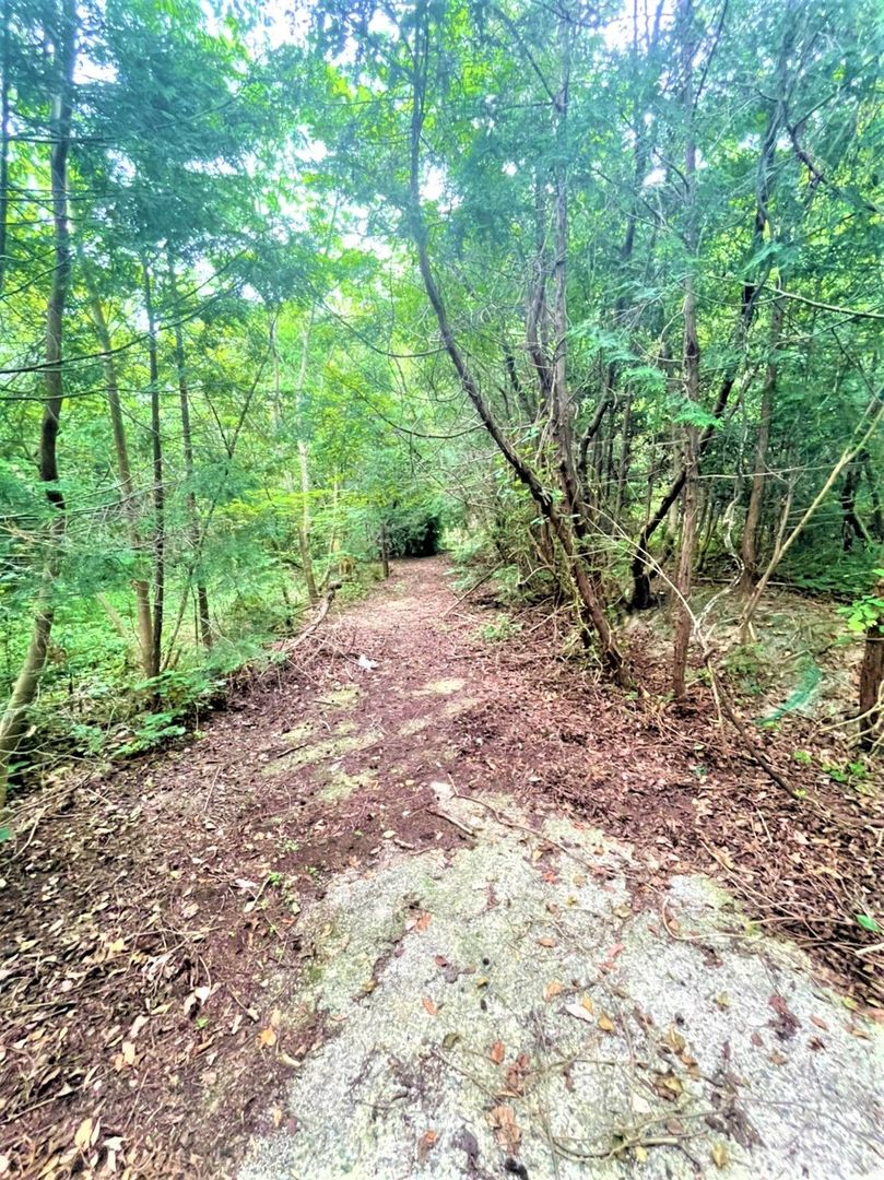 Land for Sale in Imajuku-Kaminohara, Fukuoka - Ideal for Camping or Cultivation - Thumbnail 2