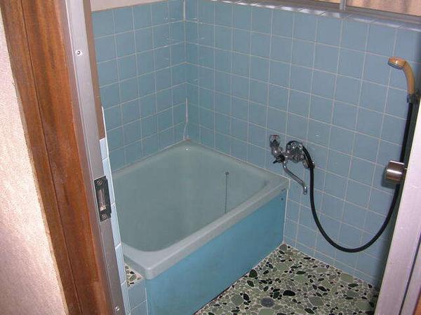 Kamigamiume, Omamamachi, Midori City, Gunma Prefecture - Thumbnail 3