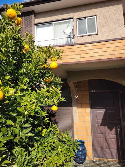 Shizuoka Prefecture — Image 1, Numazu, Shizuoka