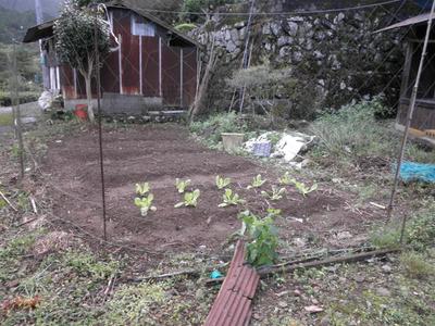 福岡県豊前市大字求菩提 — Image 3, Buzen, Fukuoka