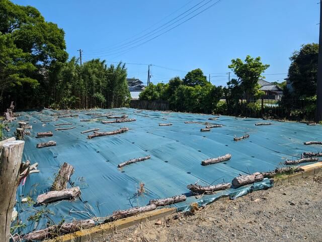 Vacant Land for Sale in Shirako Town, Chiba - 270 sqm - Thumbnail 2