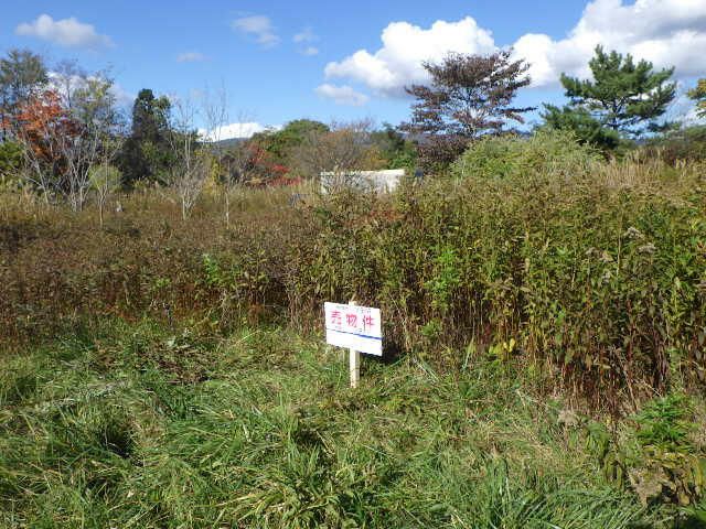 197 sqm Land for Sale in Hakodate, Hokkaido - Prime Development Plot - Thumbnail 2