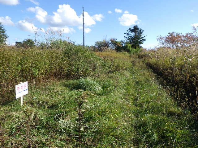 197 sqm Land for Sale in Hakodate, Hokkaido - Prime Development Plot - Image 1