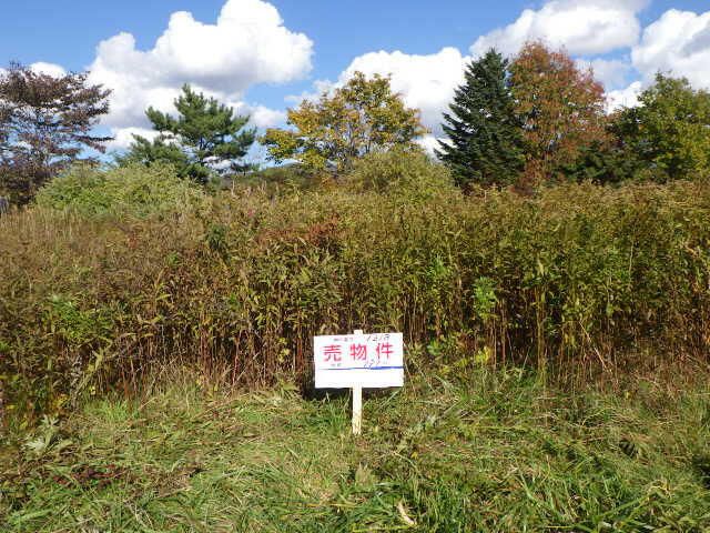 197 sqm Land for Sale in Hakodate, Hokkaido - Prime Development Plot - Thumbnail 3