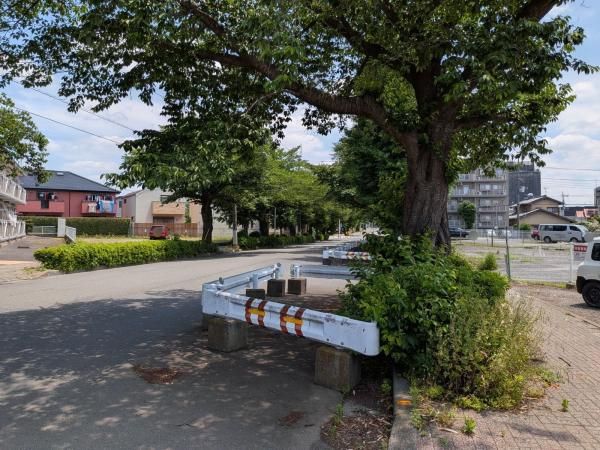 Building Land for Sale Near Yagawa Station, Kunitachi, Tokyo – 302 sqm - Thumbnail 4