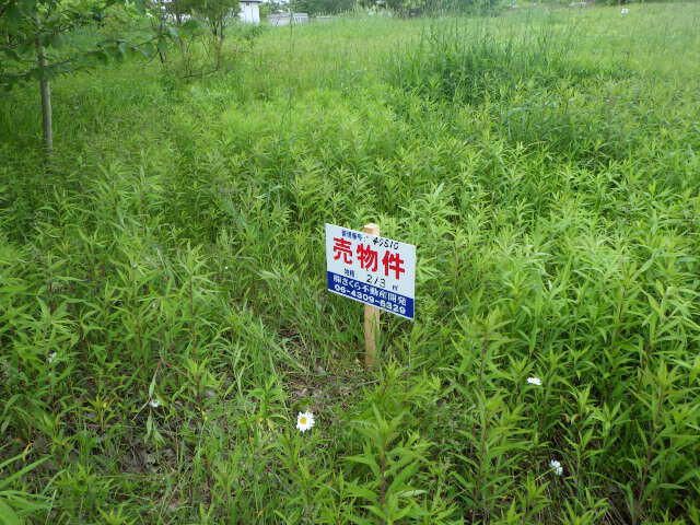 Land for Sale in Higashikariki-cho, Sapporo, Hokkaido - Thumbnail 3