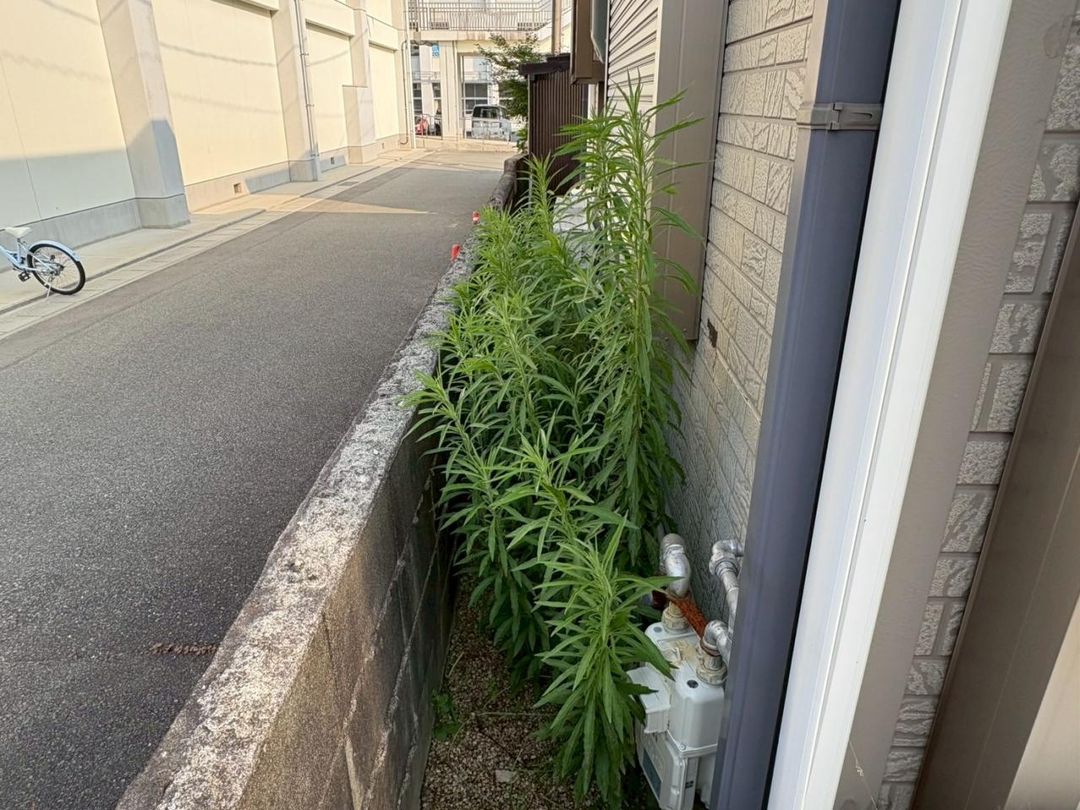 3DK Detached House for Sale in Yamaguchi City, Yamaguchi - Thumbnail 3