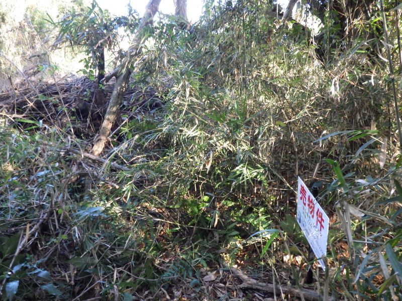 Land for Sale in Sodegaura, Chiba - 114 sqm - Thumbnail 3