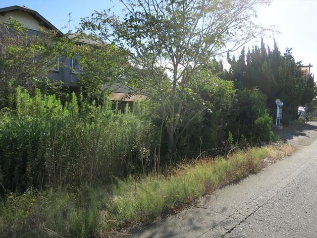 Land for Sale in Sakata, Yamagata - 1206 sqm - Thumbnail 2
