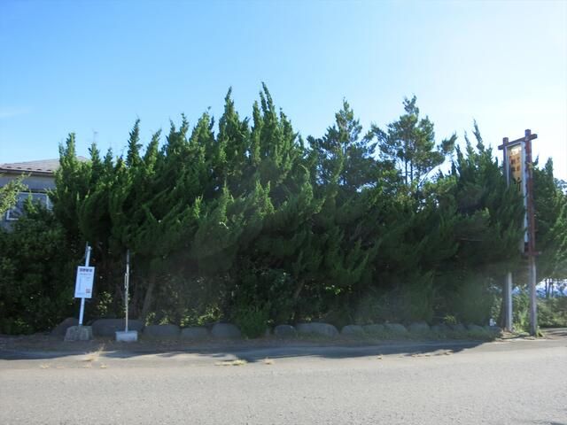 Land for Sale in Sakata, Yamagata - 1206 sqm - Thumbnail 4