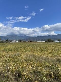 Two-Unit Apartment Building for Sale in Matsumoto, Nagano - Thumbnail 3