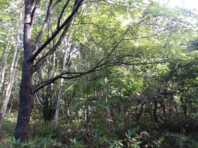 330 sqm Land for Sale in Hakodate, Hokkaido - Thumbnail 2