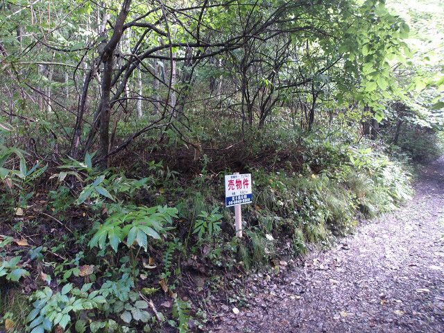 330 sqm Land for Sale in Hakodate, Hokkaido - Thumbnail 3