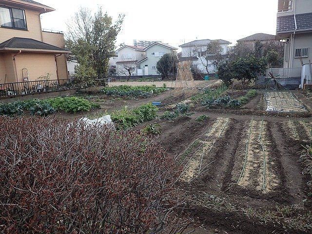 231 sqm Residential Land for Sale in Kazo, Saitama - Thumbnail 4