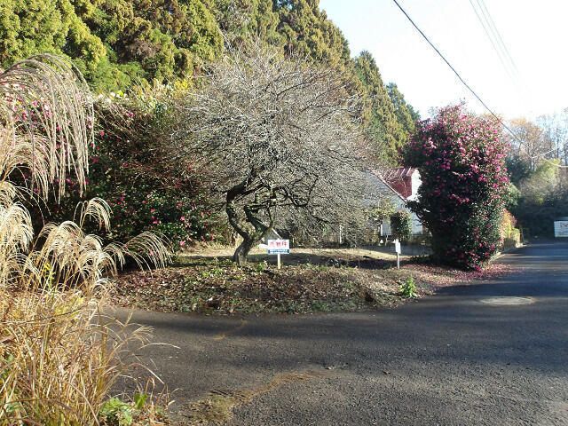 237 sqm Vacant Land for Sale in Hokota, Ibaraki - Thumbnail 2