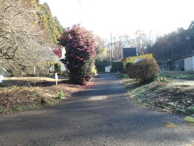 237 sqm Vacant Land for Sale in Hokota, Ibaraki - Thumbnail 3