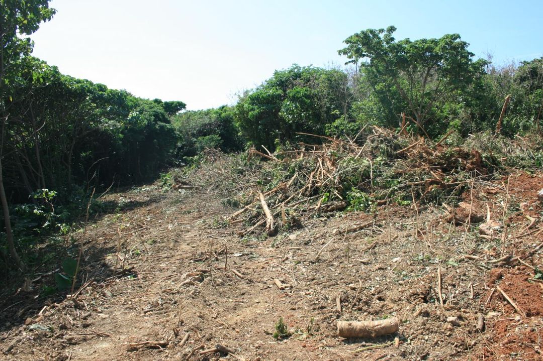 1259 sqm Development Land for Sale in Motobu, Okinawa - Thumbnail 3