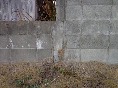 3LDK Detached House for Sale in Nagasu, Kumamoto with 330 sqm Land — Land, Nagasu, Kumamoto