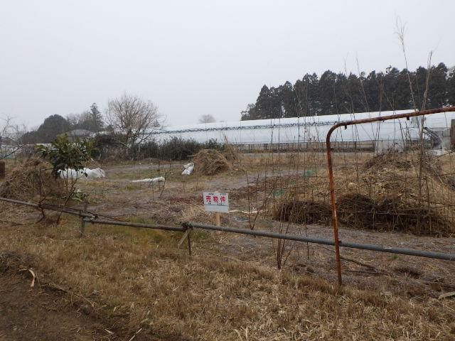 Land for Sale in Tsukuba, Ibaraki 204 sqm - Thumbnail 4