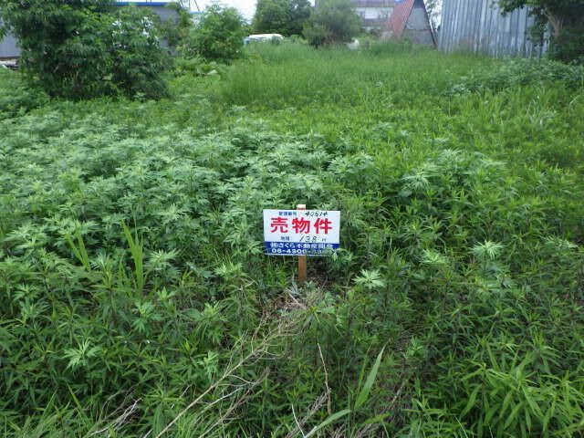138 sqm Land Plot for Sale in Higashikariki-cho, Sapporo - Thumbnail 2