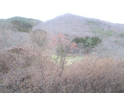Farmhouse with field in tranquil countryside: villas, real estate, properties for sale, Hometown Information Center: Nationwide rural living property data — Image 2, Tono, Iwate