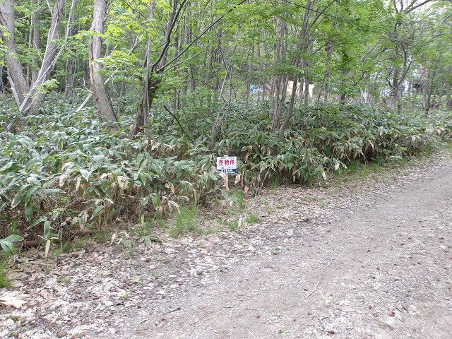 Land for Sale in Minami-ku Sapporo 191 sqm - Thumbnail 3