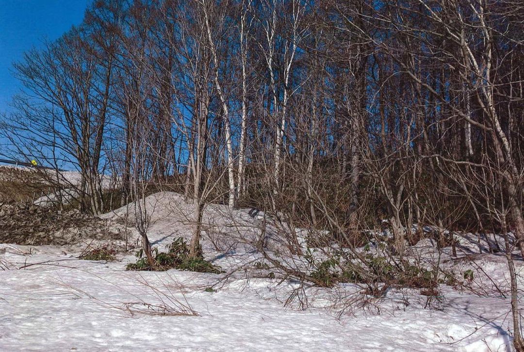 5,544 sqm South-Facing Development Land for Sale in Otaru, Hokkaido - Thumbnail 3