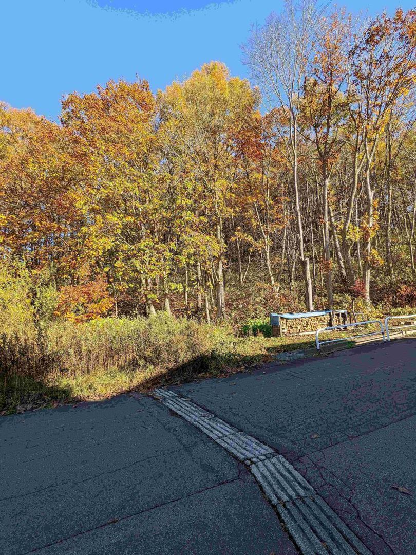 5,544 sqm South-Facing Development Land for Sale in Otaru, Hokkaido - Thumbnail 2